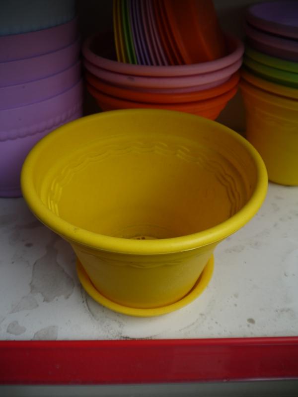 店铺最新产品上架4
